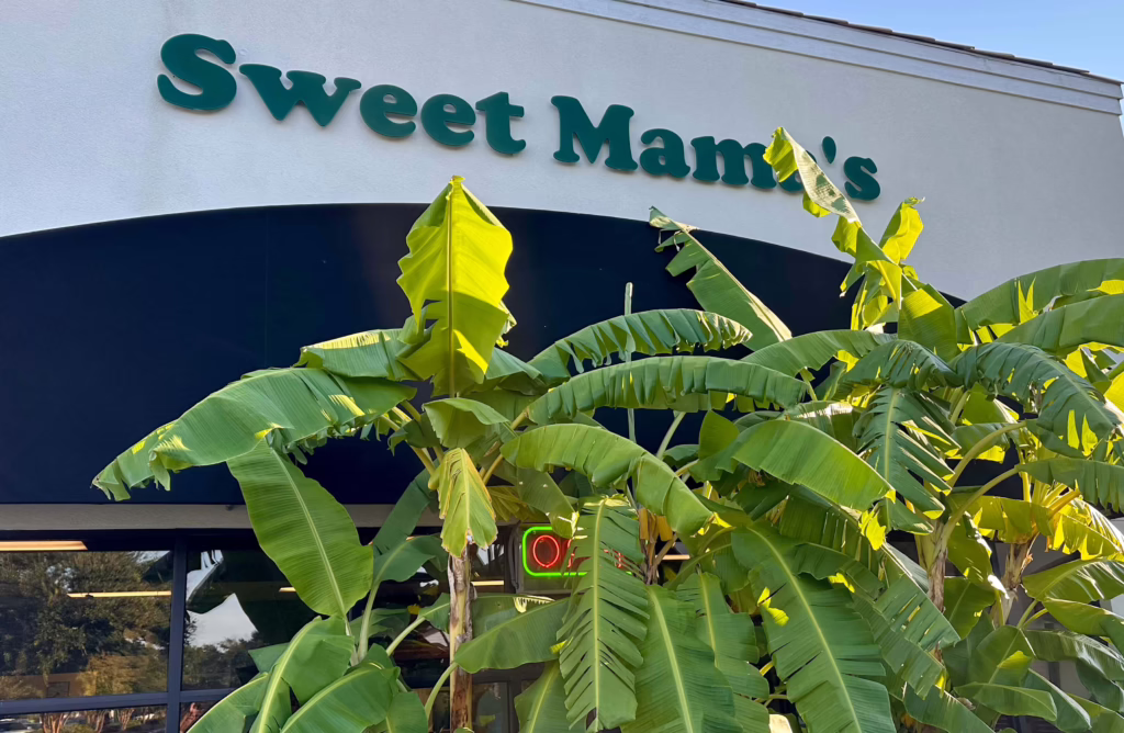 home cooking at sweet mama's