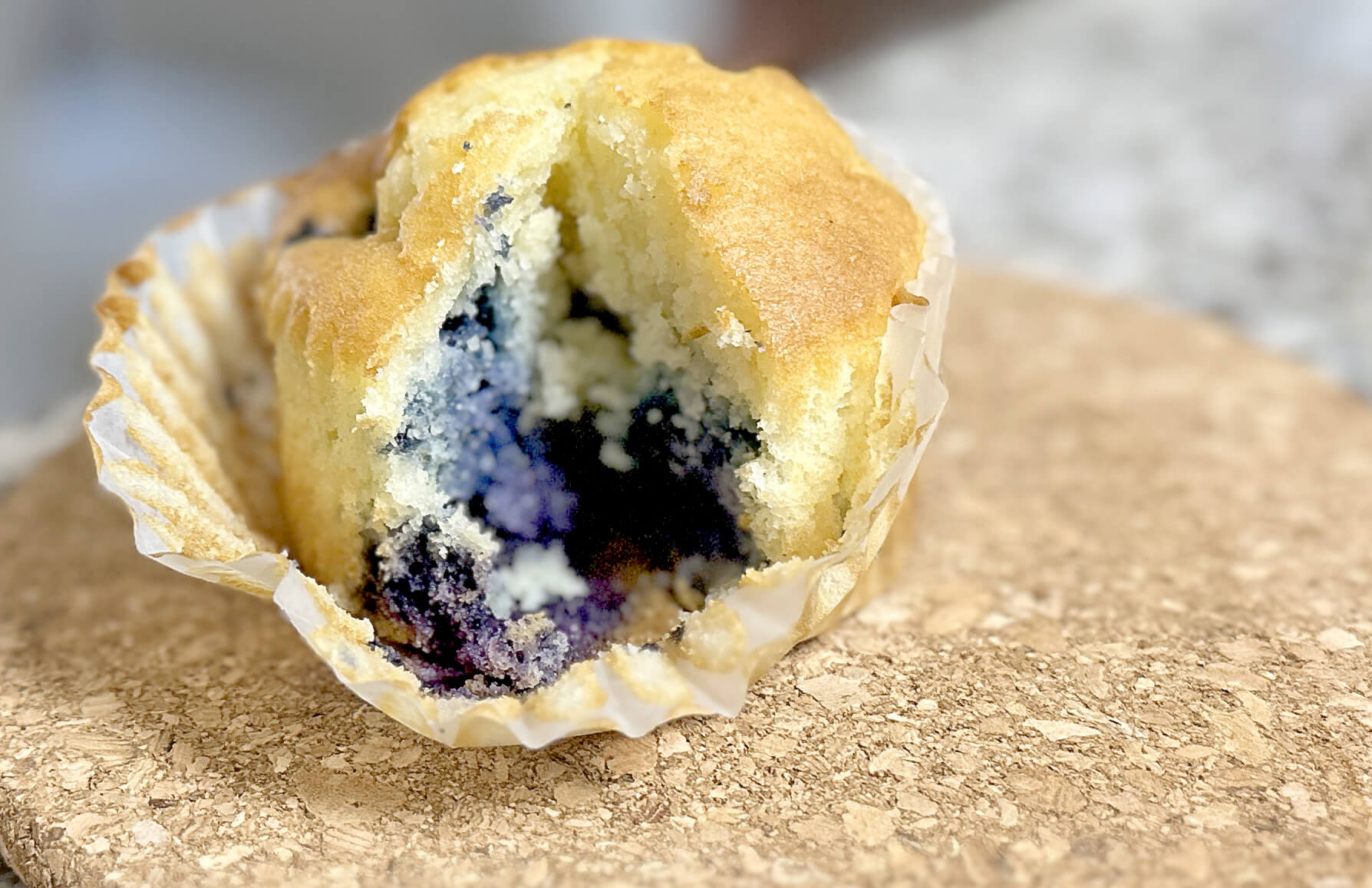 Blueberry Muffin